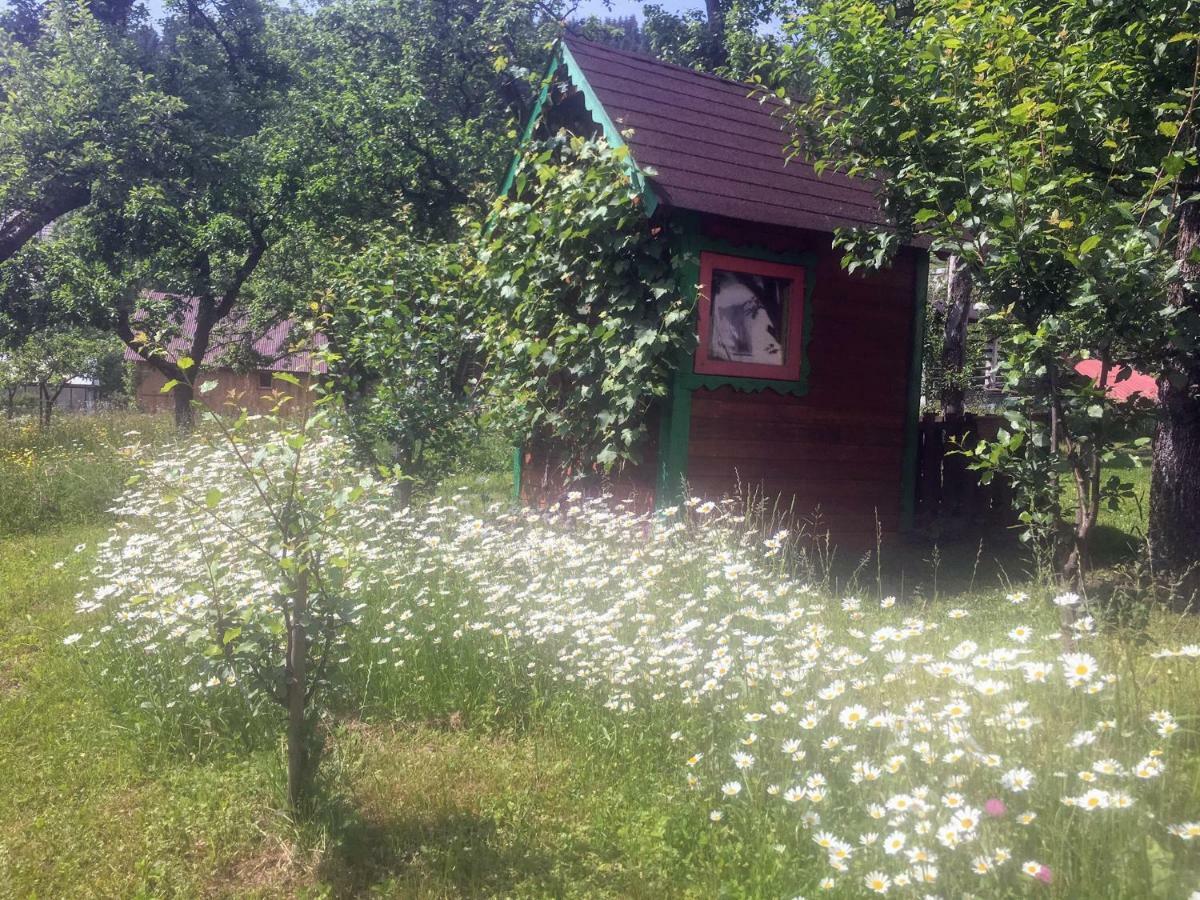 Apartma Lip Rateče Exteriér fotografie